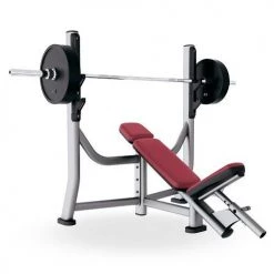 Strength Life Fitness Signature Series Olympic Incline Bench