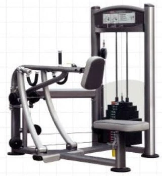 Strength Impulse Elite Vertical Row