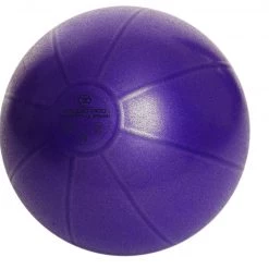 Fitness Mad 500kg Swiss Ball & Pump - Purple Fit Balls