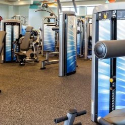 Life Fitness Insignia Series Assist Chin Dip Selectorised Strength