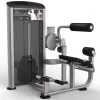 Strength Impulse Escalate Back Extension Machine