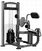 Strength Impulse Elite Back Extension