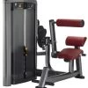 Strength Life Fitness Insignia Series Back Extension Selectorised