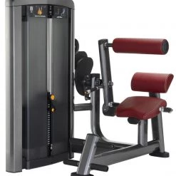Strength Life Fitness Insignia Series Back Extension Selectorised