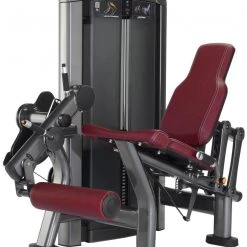 Life Fitness Insignia Series Leg Extension Selectorised