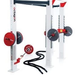 Strength Octagon ISO Wall Mounted Rig