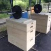 Strength UKSF Wooden Olympic Jerk Blocks