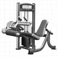 Impulse Elite Seated Leg Curl Strength