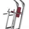 Strength Life Fitness Signature Series Chin/Dip/Leg Raise