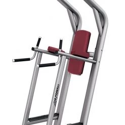 Strength Life Fitness Signature Series Chin/Dip/Leg Raise