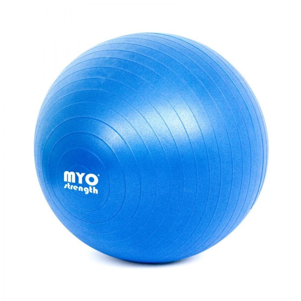 Fit Balls MYO Strength Fit Ball