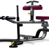 BH Fitness Seated Calf