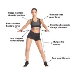 Fitness Mad Tye4 Studio