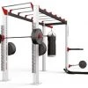 Strength Octagon QUAD Free Standing Rig