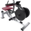 Life Fitness Signature Series Calf Raise Plate Loaded